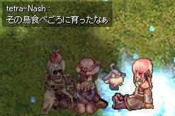 BBQ1.JPG